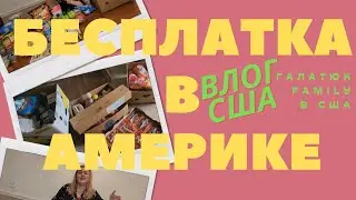 США/ БЕСПЛАТКА В АМЕРИКЕ/ FOOD BANK