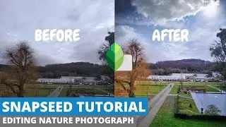 SNAPSEED TUTORIAL- Getting started by editing Nature Photograph | Snapseed editing  | Android | iOS.