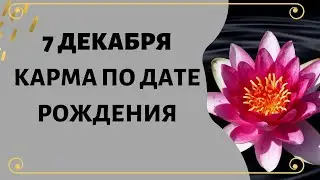 7 декабря - Карма по дате рождения