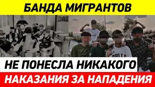 УЖЕ СВОБОДНО ГУЛЯЮТ И УГРОЖАЮТ! БАНДА МИГРАНТОВ-ПОДРОСТКОВ ХОЧЕТ МСТИТЬ