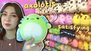 Squishmallow hunt with  me for my DREAM SQUISH!