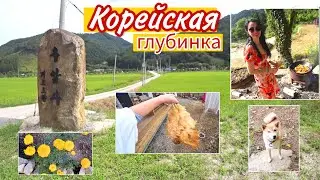 Поймали курицу и приготовили плов на костре ^^ KOREA VLOG