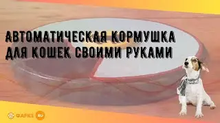 Автоматическая кормушка для кошек своими руками