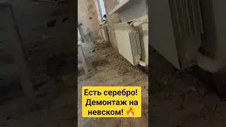 Наконец-то серебро! Находки из под пола в старинном доме на Невском! #монеты #копатели #коп_монет