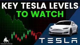 Tesla Stock Price Analysis | Top Levels To Watch for Monday, August 26th, 2024