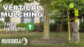 Vertical Mulching to Improve Tree Health!