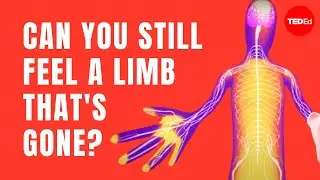 Can you still feel a limb thats gone? - Joshua W. Pate