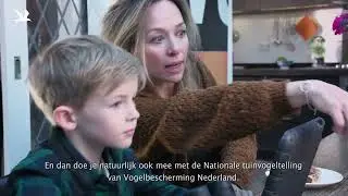 Nationale Tuinvogeltelling van Vogelbescherming Nederland is op 26 t/m 28 januari 2024