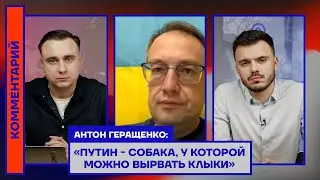 Антон Геращенко: «Путин — собака, у которой можно вырвать клыки»