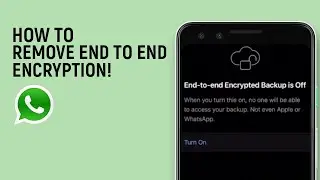 How To Remove End To End Encryption In WhatsApp [easy]