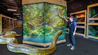 Giant Green Anaconda Exhibit Arrived at The Zoo!