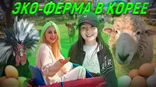 Ферма в Корее ^^ Выбираем курочек / KOREA VLOG /