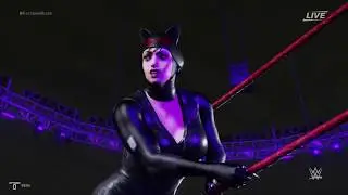 (REQUEST)  TEKKEN vs DC:  BIKINI NINA WILLIAMS  VS CATWOMAN