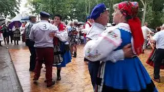 Polka - festiwal w Wieniawie  - gra Kapela Jana Tarnowskiego.