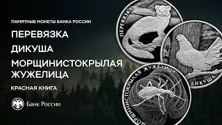 Красная книга: новые монеты Банка России