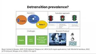 Dr Lisa Littman - Detransition and gender medicine