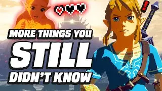 12 MORE Things You STILL Didnt Know In Zelda Breath Of The Wild