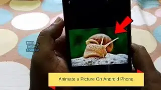 Learn How To Animate a Picture On Android Phone