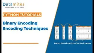 Binary encoding - Encoding Techniques in Machine Learning -  Python