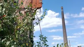 БУДЯНСЬКИЙ ФАЯНСОВИЙ ЗАВОД 13.08.2024. АБО ТЕ ЩО ВІД НЬОГО ЗАЛИШИЛОСЯ - РУЇНИ. ЗНАХІДКИ.