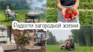 VLOG🇨🇦: Жизнь на 4 гектарах🏡 Клубничная ферма🍓В поисках ковра🧐