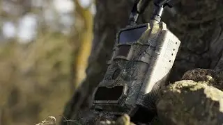 PNI Hunting 400C PRO 24MP hunting camera with 4G LTE ENG