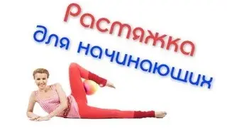 Растяжка для начинающих. Развитие гибкости ног и спины / Stretching for Beginners