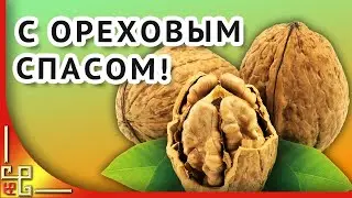 Орехово Хлебный Спас. Самое красивое поздравление с Ореховым Спасом 29 августа. Музыкальная открытка