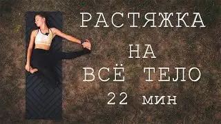 ЙОГА-РАСТЯЖКА на ВСЁ ТЕЛО. Мягкая йога для всех. 22 минуты.