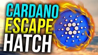 CARDANO’s ESCAPE HATCH & SHORTAGES