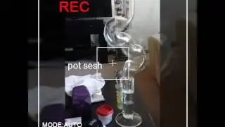 Pinoy pot heads episode 6. look at the size of that thing!