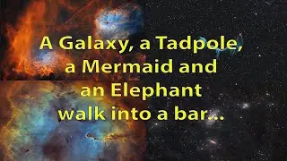 A Galaxy, a Tadpole, a Mermaid and an Elephant walk into bar.....