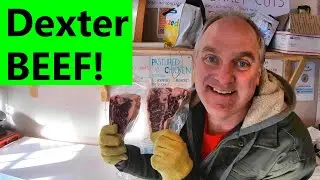 Dexter beef cuts