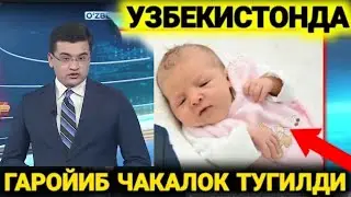 ТЕЗ КУРИНГ. БУНАКА ЧАКАЛОК ХАЛИ ТУГИЛМАГАН ЭКАН...