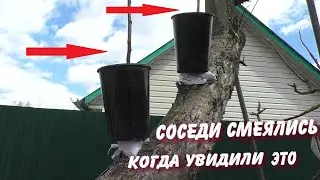 ПОРАБОТАЛ НЕМНОГО В САДУ ОТВОДКИ ПЛОДОВЫХ ДЕРЕВЬЕВ СУПЕР СПОСОБ ТАК СМОЖЕТ КАЖДЫЙ