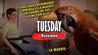 Tuesday | Resumen de película