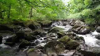 Wild Forest River Nature Sounds. Gentle Stream No Birds. 4K Relaxing River Water Sounds for Sleep.