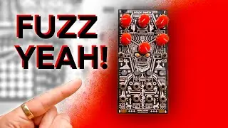 FUZZ YEAH!!! // Animal Factory Amplification