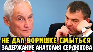 ВОТ ЭТО ПОВОРОТ! Жёсткое задержание Сердюкова! Андрей Белоусов схватил воришку за шкирку!