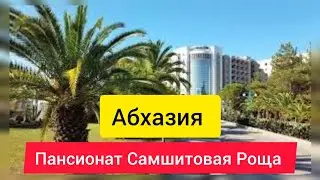 Пансионат Самшитовая Роща. Завтрак в темноте. Отдых в Абхазии.