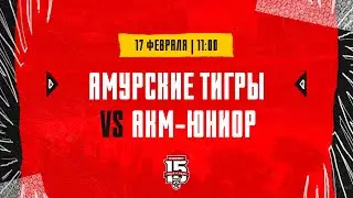 17.02.2024. «Амурские Тигры» – «АКМ-Юниор» | (OLIMPBET МХЛ 23/24) – Прямая трансляция