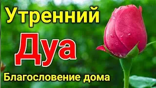 Утренний дуа. дуа каждое утро