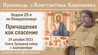 Причащение как спасение. Проповедь о. Константина Корепанова в Неделю 29-ю по Пятидесятнице