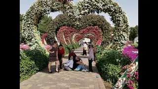 Como LUCE el Miracle Garden en Dubai este 2020 [Complete tour] - Photo album