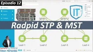 12 Radpid STP, Bridge Assurence & MST en Cisco Nexus