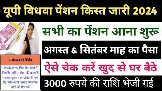 Up vidhwa pension ka paisa kaise check kare 2024 | यूपी विधवा पेंशन का पैसा कैसे चेक करें