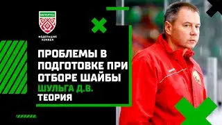 Шульга Д.В. Проблемы технико-тактической подготовки при отборе шайбы. Теория.