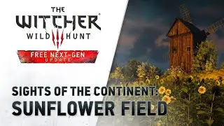 Sights of the Continent: Sunflower Field I Relax, study, meditate [The Witcher 3: Wild Hunt NG]