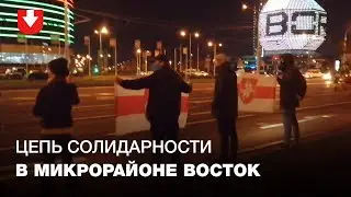 Цепь солидарности возле станции метро Восток