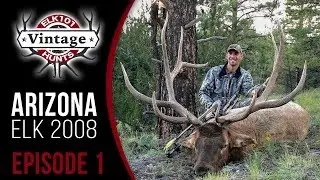 Watch Corey Jacobsen Shoot His Biggest Archery Bull - 390!